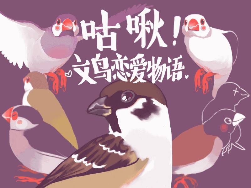 手機遊戲,豆干疊疊木,文鳥（圖／豆干疊疊木提供）