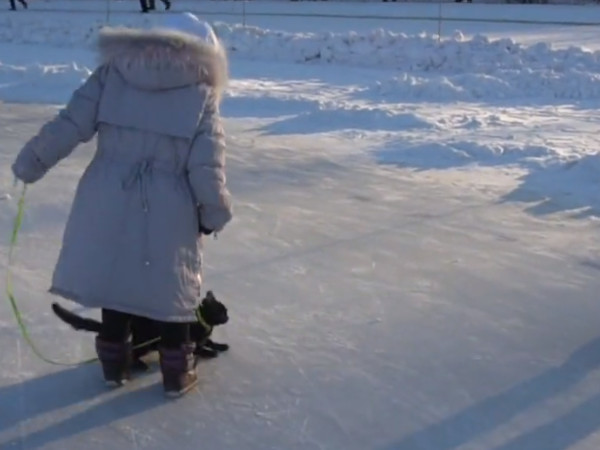▲內蒙古小女孩在冰上遛貓。（圖／翻攝自新京報）