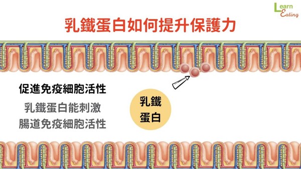 老是被傳染、感冒好不了？　營養師教你一招增強免疫力。（圖／食力提供）