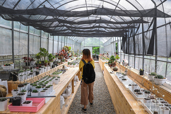 ▲▼桃園左岸森林多肉植物咖啡館。（圖／小可愛阿貴提供）