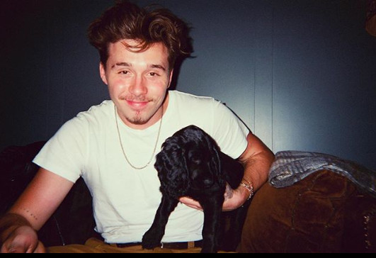 ▲▼布魯克林。（圖／翻攝自IG／布魯克林）