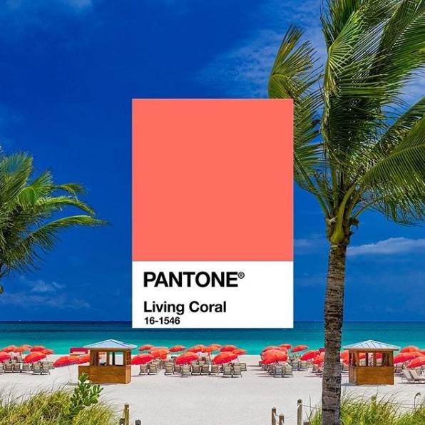 ▲pantone。（圖／翻攝自pantone）