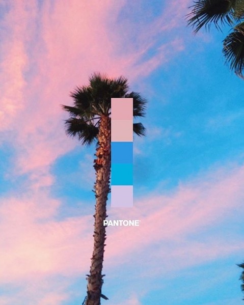 ▲pantone。（圖／翻攝自pantone）