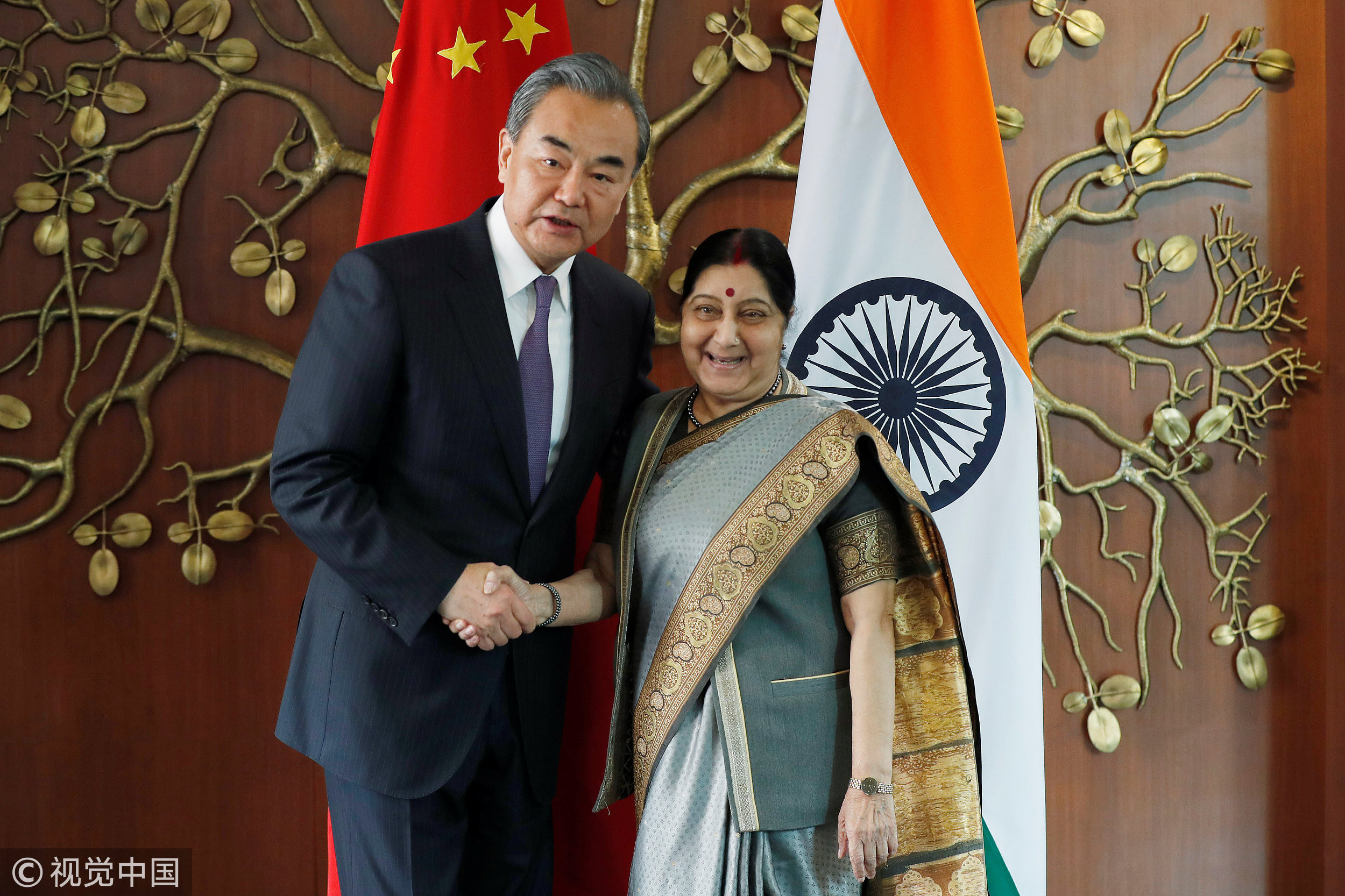 ▲▼大陸外交部長王毅訪問印度，與印度外交部長史瓦拉吉（Sushma Swaraj)）會晤。（圖／視覺中國）