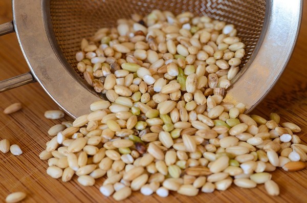 ▲▼糙米,全穀,米,麥。（圖／翻攝自pixabay）