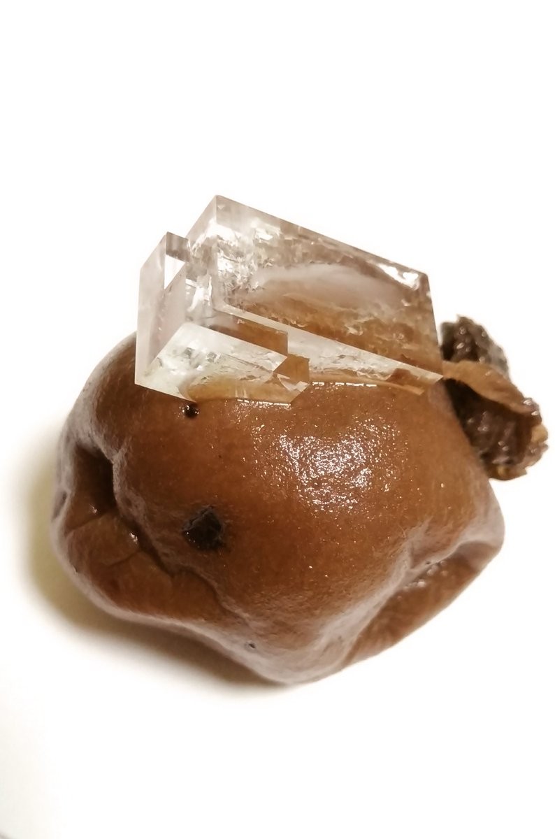 ▲▼日網友發現自家梅干長出少見的巨型食鹽結晶。（圖／翻攝自推特，nogi_z）