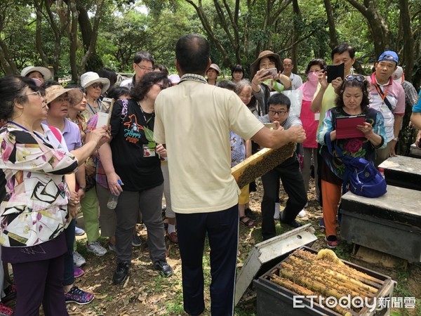 ▲ 三芝「牧蜂農莊」榮獲特等獎 認明國產標章好蜜保證純。（圖／新北市農業局提供）