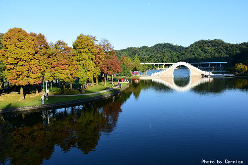 ▲▼ 台北3處「落羽松秘境」一日遊！還能賞湖景、草原野餐（大湖公園）（圖／Bernice的隨手筆記）