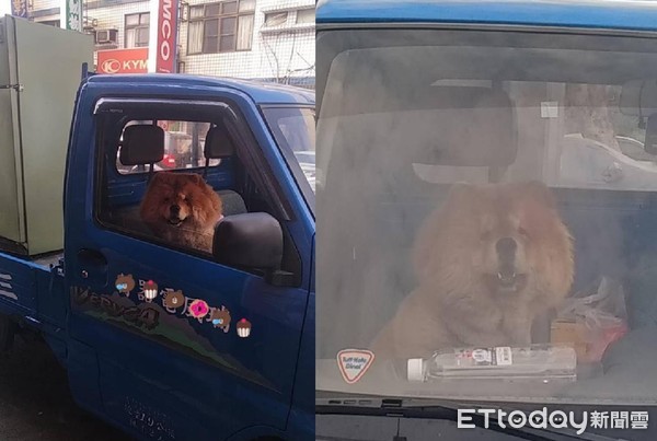 ▲快點幫阿公搬冰箱！鬆獅犬「瞇眼燦笑」坐車內：給肉肉就去～（圖／粉專《湯胖圓的生活流水帳》提供，請勿隨意翻拍，以免侵權。）