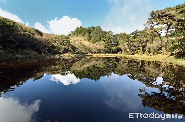 ▲深山特遣隊於大浦山附近，發現多達上百株的紅檜巨木群。（圖／台東林管處提供，下同）