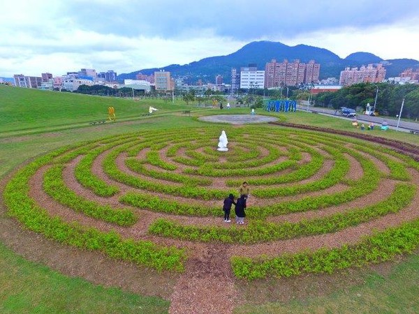 ▲八里文化公園米飛園區推出灌木景觀迷宮。（圖／新北市政府水利局提供）