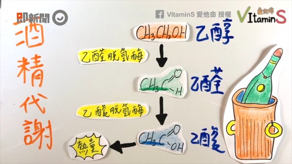 ▲一喝酒就臉紅（圖／VItaminS愛他命提供，請勿隨意翻拍，以免侵權。）