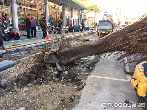 ▲▼台中市北區傳出有路樹倒塌砸4車，2人受傷。（圖／記者李忠憲翻攝）