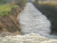 我好冷、臉受傷不好看…　退休警溺斃附身姪女告別家人