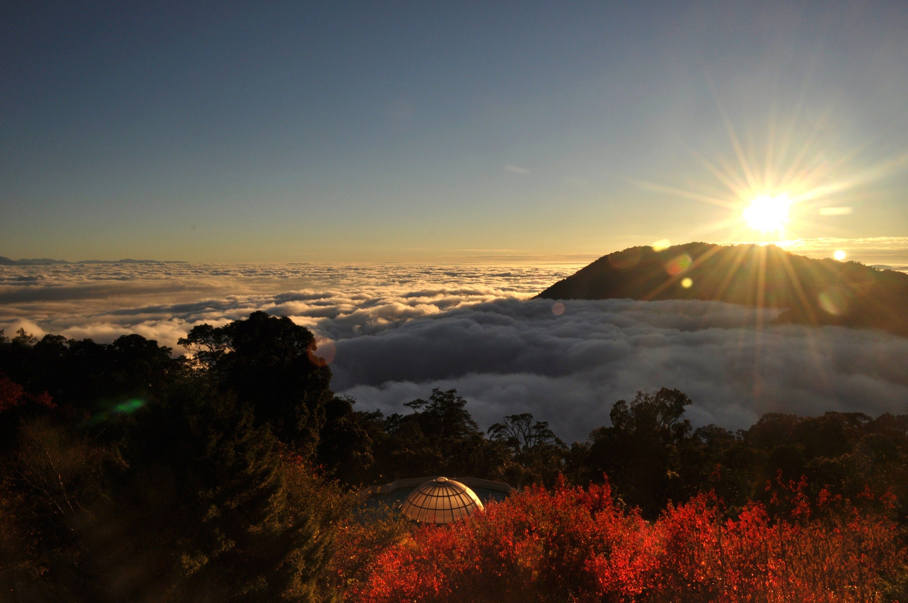 ▲▼大雪山,八仙山森林遊樂區。（圖／林務局東勢林區管理處提供）