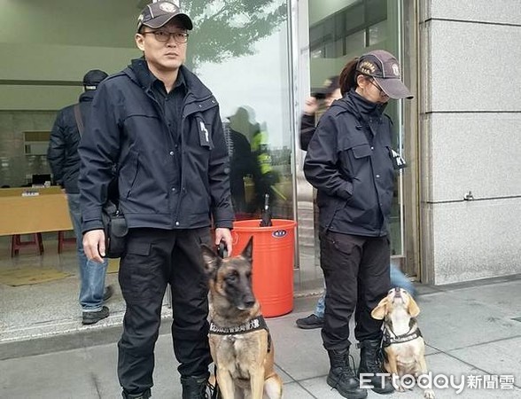 ▲2019桃園跨年晚會出動警犬協勤，超吸睛。（圖／中壢警分局提供）