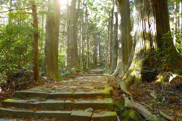 ▲日本南紀山海▼             。（圖／翔笙旅行社提供）