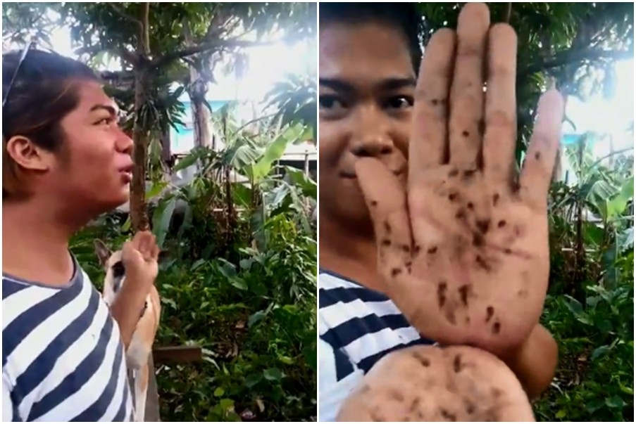 ▲菲律賓一名22歲美妝藝術師「金」（King）吸引蚊子，再一口氣打死牠們。（圖／翻攝自Liveleak）