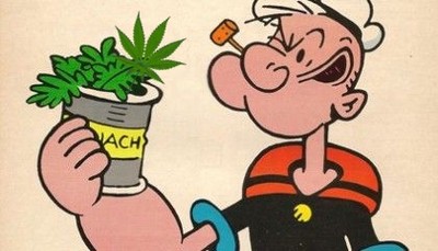 大力水手的「菠菜」是指大麻！ 　美式俚語揭穿卜派變身的秘密