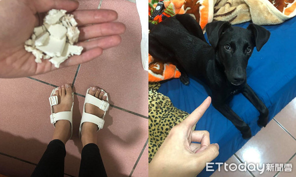 ▲▼雙綁帶啃成露趾！設計師「驕傲折手手」　媽哭：腳離不開拖鞋。（圖／有點毛毛的／網友林雅雯提供）