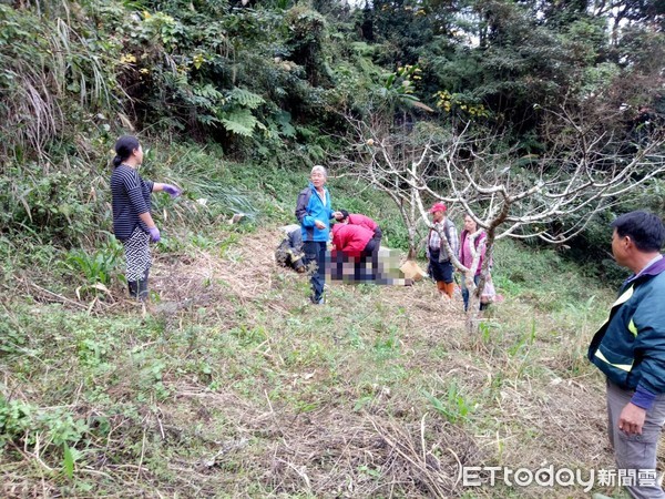 ▲▼大湖鄉馬拉邦12鄰新秀山莊露營區一輛小貨車翻落山坡。（圖／記者李忠憲翻攝）