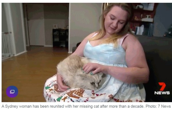 ▲▼澳洲女花14年找貓咪，結果貓就住在鄰居家。（圖／翻攝自newshub）