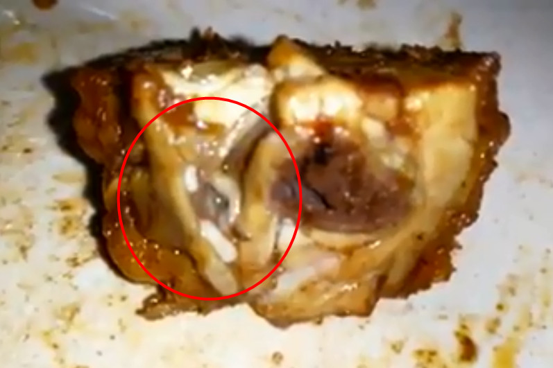 ▲馬來西亞一名網友在吃雞肉餐點時，意外發現肉品內有一條蛆。（圖／翻攝自「我們是馬來西亞人」臉書）