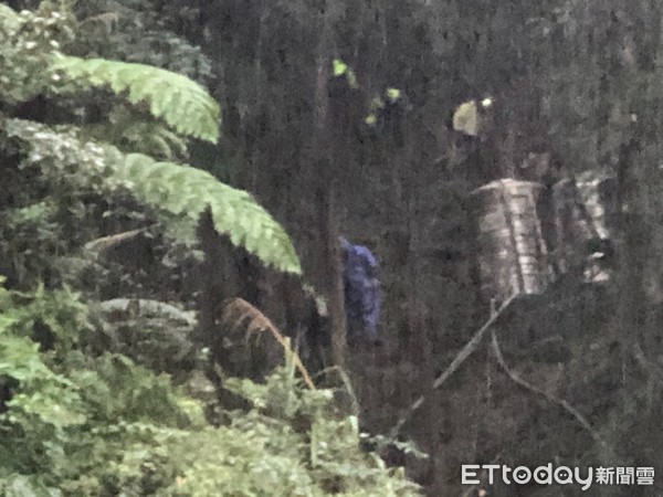 ▲ 夫妻重登舊山道深夜迷途 瑞芳警冒雨搜山尋獲。（圖／記者郭世賢翻攝）