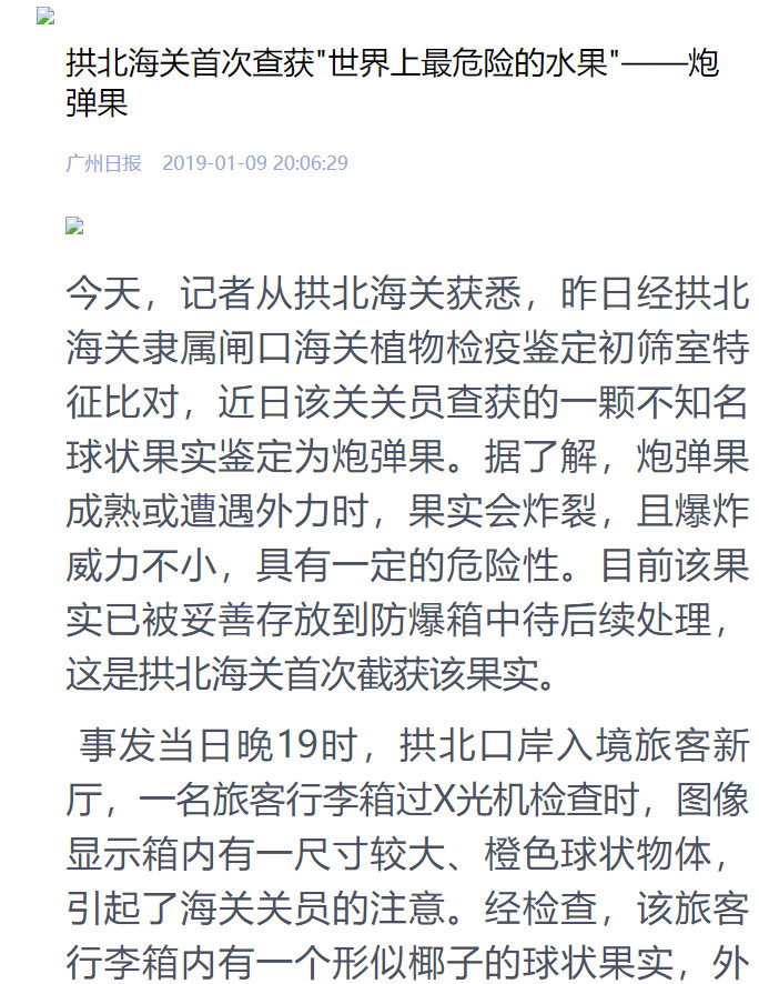 ▲▼珠海查獲「世界上最危險的水果」爆炸威力類似手榴彈　網友秒打臉，砲彈果。（圖／翻攝自廣州日報）