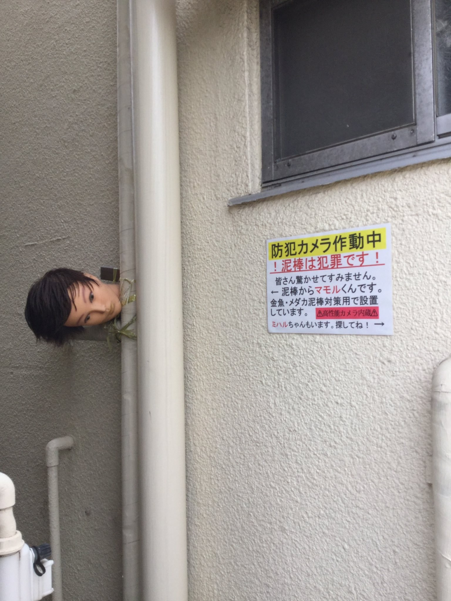 ▲▼日本最新「假人頭防小偷法」。（圖／翻攝自推特／omott_）