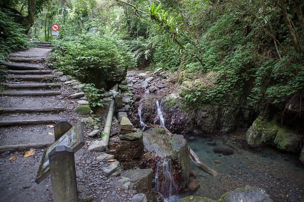 ▲林美石磐步道             。（圖／翻攝自flickr／TW Cheong）