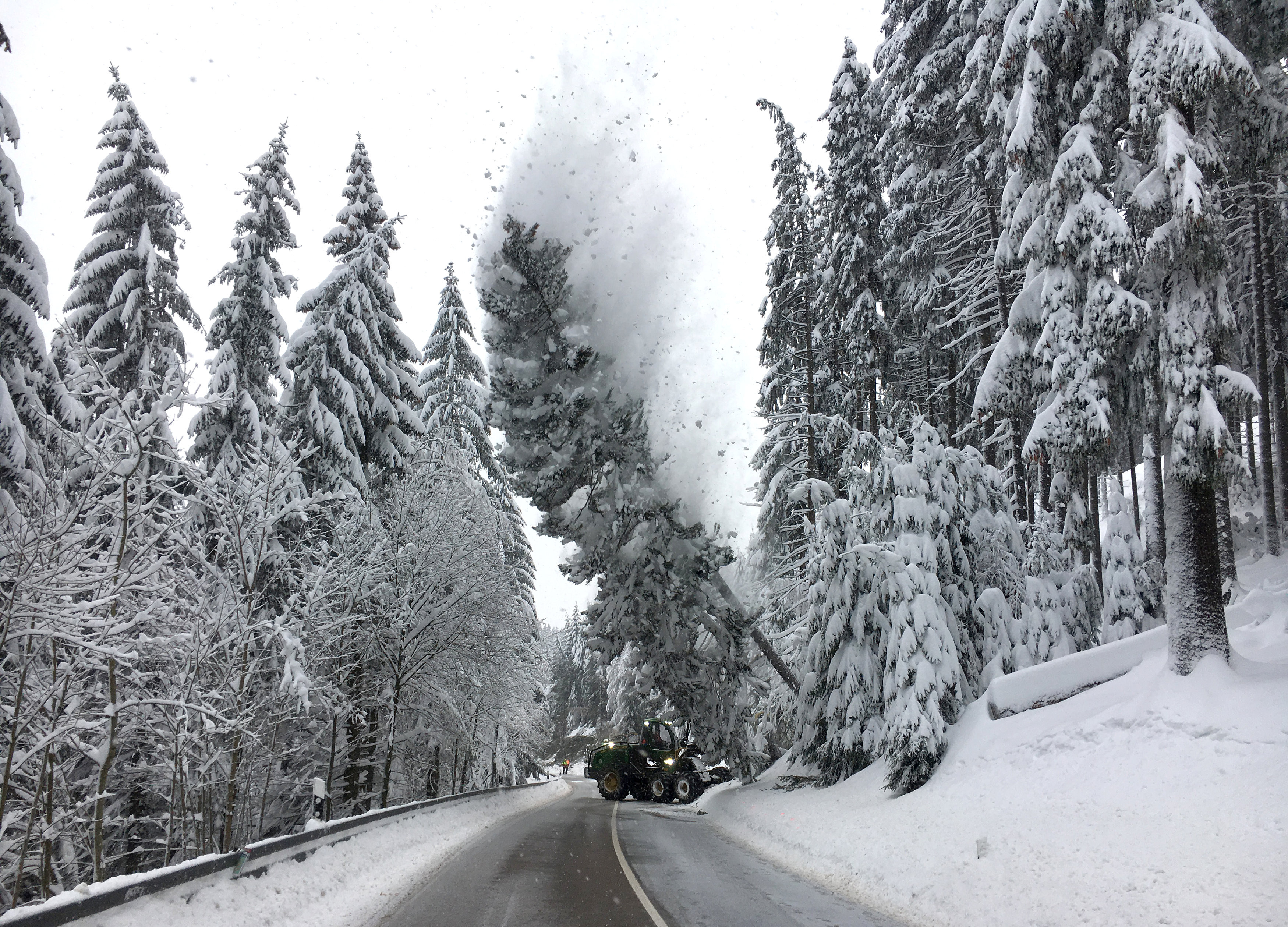 ▲▼ 德國暴雪。（圖／路透社）