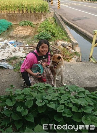 ▲米克斯小幅。（圖／網友鄭信澤授權提供）