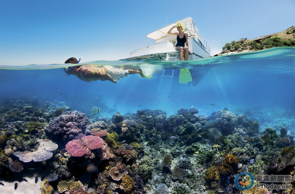 澳洲大堡礁擁有豐富珊瑚礁景觀是許多潛水愛好者的聖地。（圖／昆士蘭台灣官方旅遊網站提供）