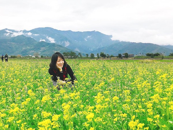 ▲伯朗大道油菜花海。（圖／IG@asdfzxo-提供，請勿隨意翻拍，以免侵權）