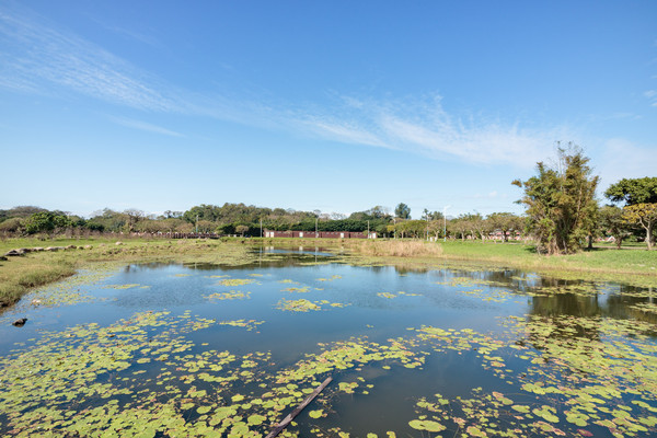 ▲▼新北市八里米飛公園。（圖／好景點提供）