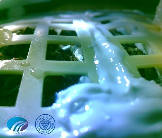 ▲嫦娥四號回傳照片顯示，棉花種子長出嫩芽。（圖／翻攝自央視）
