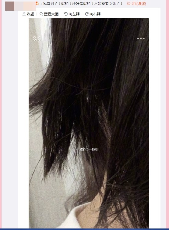 ▲網友放大照片，推測歐陽娜娜是假短髮。（圖／翻攝自微博）