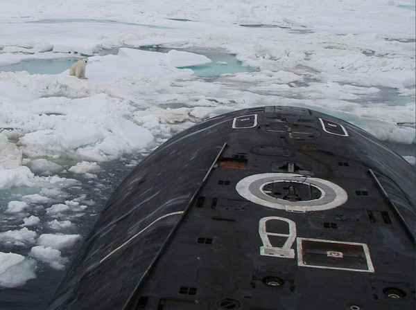 ▲▼北極熊餓昏爬上俄國核潛艇覓食。（圖／翻攝自推特／@NikeSpalato） 