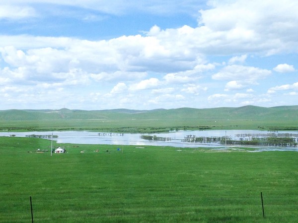 ▲體驗綠色內蒙古 來東北開極光派對▼             。（圖／喜鴻假期、shutterstock.com提供）