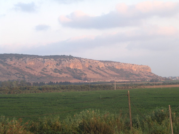 ▲▼以色列北部的迦密山脈（Mount Carmel）。（圖／翻攝自wiki）