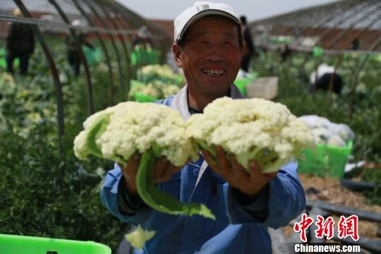 ▲▼農產品上城。（圖／中新社）