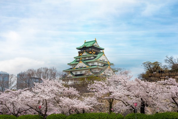 ▲日本賞櫻▼             。（圖／shutterstock.com、汎佳旅行社提供）