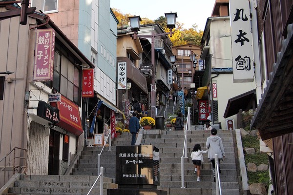 ▲日本紫藤花瀑布、芝櫻花毯▼             。（圖／ shutterstock.com、汎佳旅行社提供）