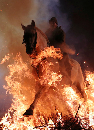 ▲▼西班牙小鎮為慶祝聖安當節，居民騎著馬跨過烈火。（圖／路透社）