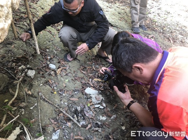 ▲▼高雄柴山溪谷水域發現15cm巨蝦。（圖／記者宋德威攝，下同）