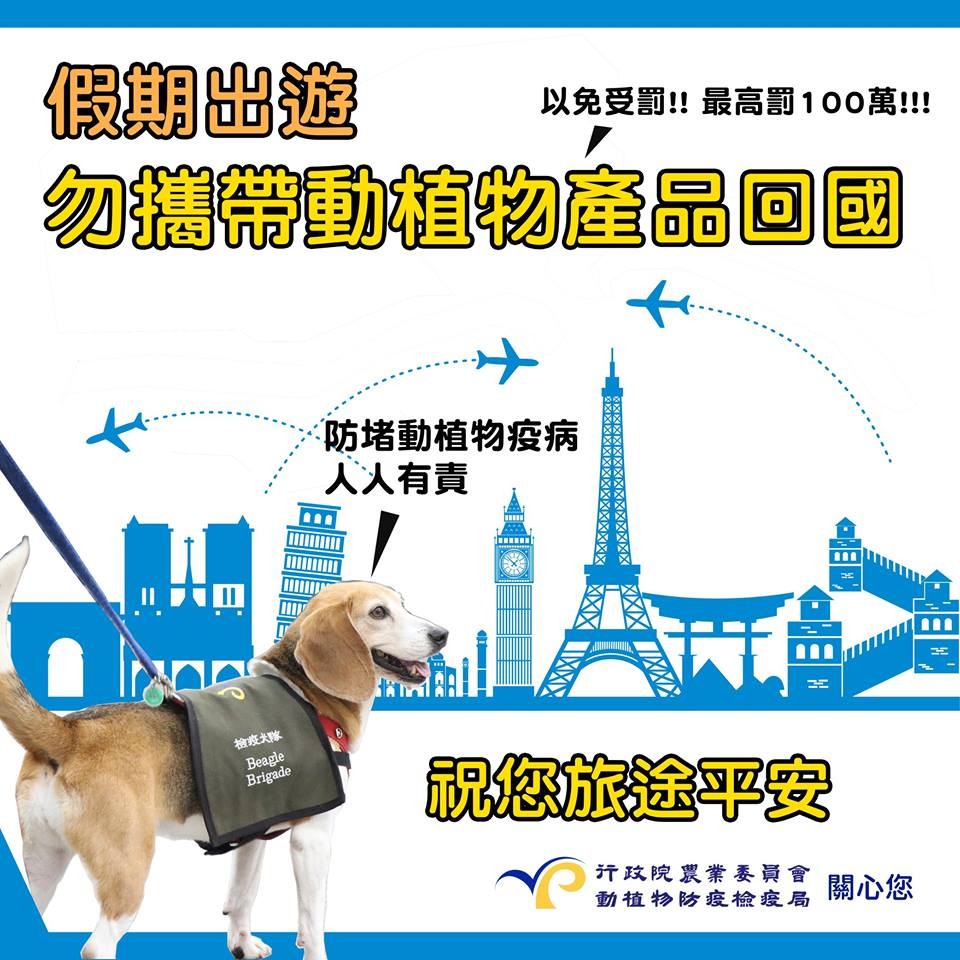 ▲▼             。（圖／翻攝動植物防疫檢疫局-防疫小尖兵臉書）