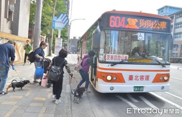 ▲狗狗公車來了！大夥兒興奮跳上車，乘客第一次搭669：挺有趣。（圖／新北市政府動物保護防疫處提供。）