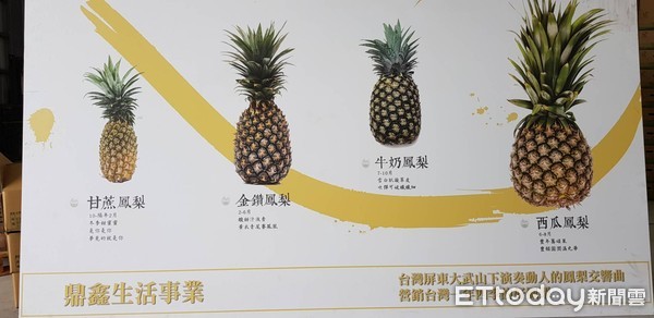 ▲為提高鄉親果農收入 　5青年返鄉找商機有成  ▼             。（圖／記者陳崑福攝）