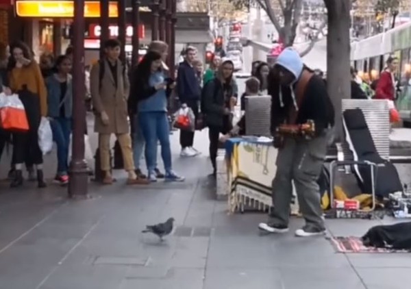 ▲「獨腳鴿」街頭隨音樂跳舞搖擺　超神節奏感讓圍觀路人樂翻。（圖／翻攝自Facebook／9GAG）